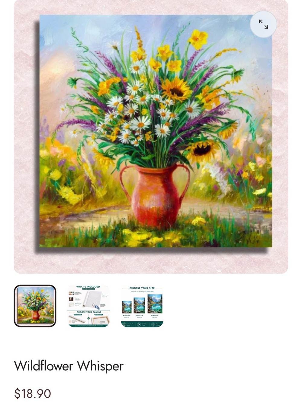 Paint by numbers kit with extra paint